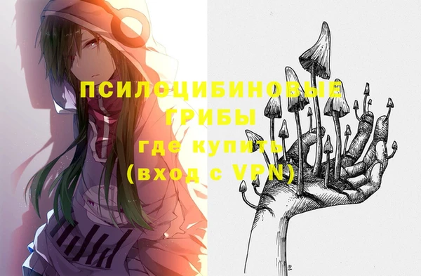 ПСИЛОЦИБИНОВЫЕ ГРИБЫ Инта