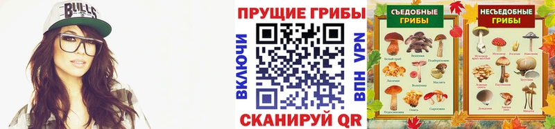 Купить  Инза  Псилоцибиновые грибы GOLDEN TEACHER 